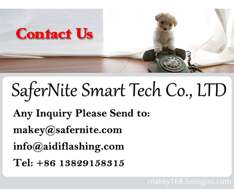 Led Flashing Pet Collar