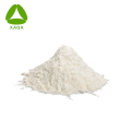 Quality Green Tea Extract L-theanine 99% 40% Powder