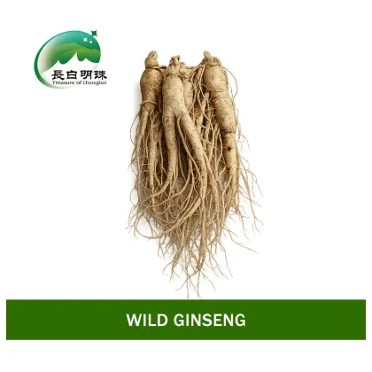High Nutrition Healthy Ginseng