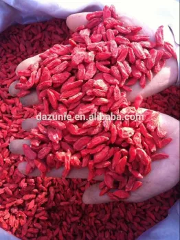 Dried Goji Berry 2015 Harvest