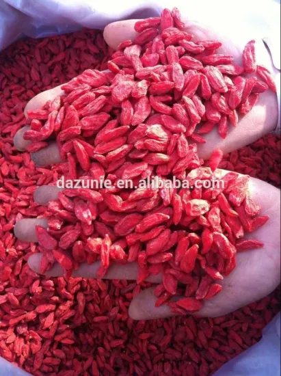 Dried Goji Berry 2015 Harvest