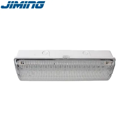LE502L-AD LED Waterproof Emergency Security Light: Ceiling Emergency Lighting Solution