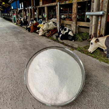 Rice Protein Powder 70% For Pets and Livestock