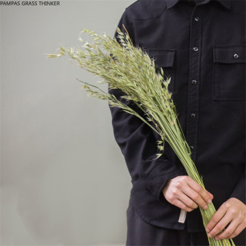 50 stems dried oats natural flower bouquets pure natural ear of oats bouquets oats ear bunches