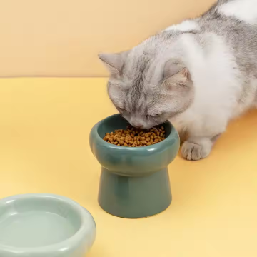 Durable Ceramic Pet Bowl for Dogs and Cats