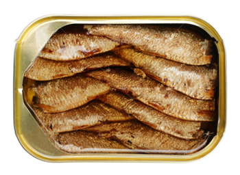 Africa sardines in canned food