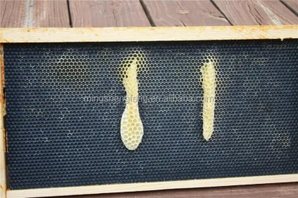 MSF Plasticell Beeswax Coated Sheet For Dadant beehive