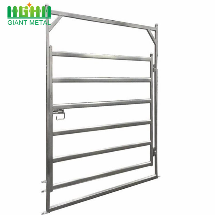 Galvanized Pipe Horse Fence Panel