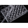 24 Well Glass Bottom Cell Culture Plates