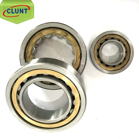 China Bearing Supplier for NJ202/N202/N202M/NU202 Roller Bearings
