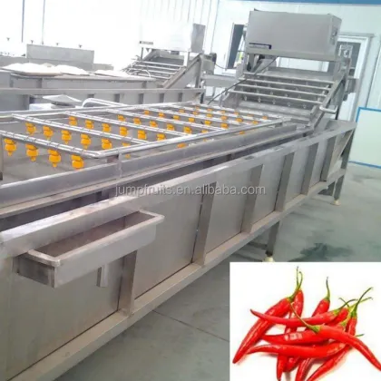 fruit vegetable washer cleaning machine