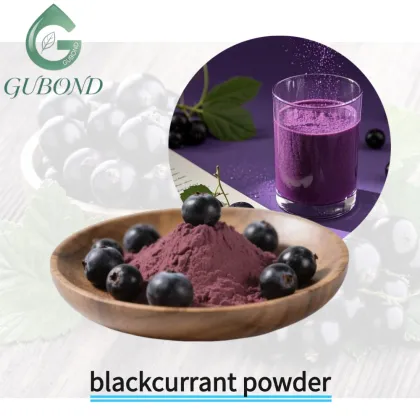 Blackcurrant Spray Dried Fruit Powder Anthocyanin Rich