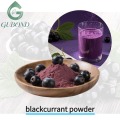Порошок сухофруктов черной смородины, богатый антоцианами