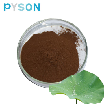Lotus leaf Extract powder Nuciferine