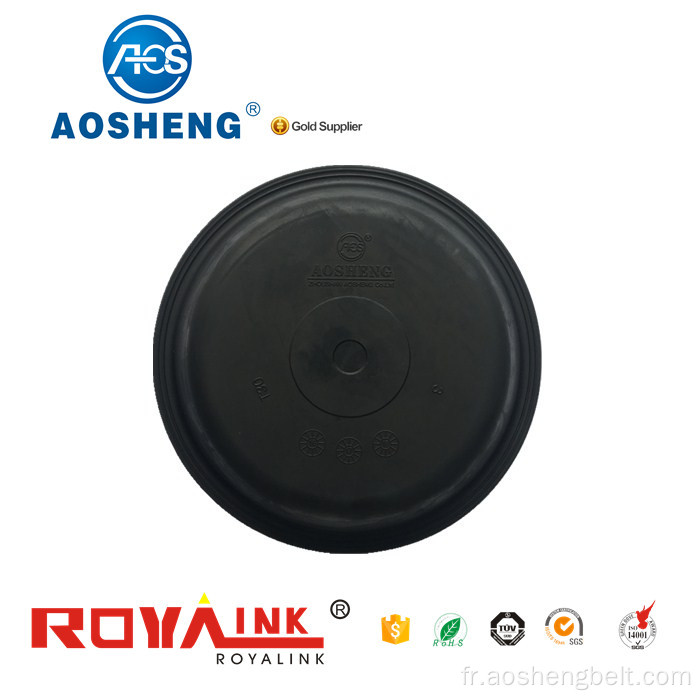 Diaphragme Aosheng T30L pour camion Renault