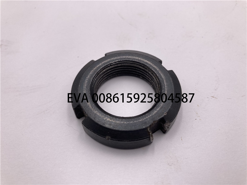 0119005 1 Copy