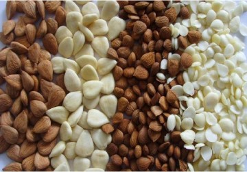 High Quality of Almond Salted Almond (sweet18 salted 12)