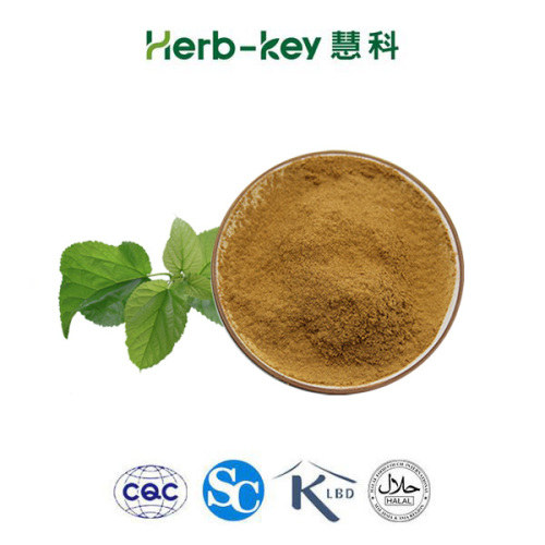 Mulberry Leaf Extract Powder