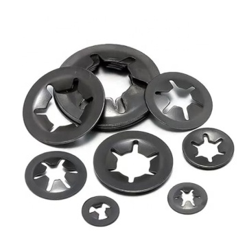 Stainless Steel Dome Cap and Belleville Spring Washer Set