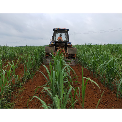 Paddy Dernier Cultivator Machine Weeder en Inde