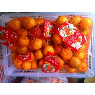 Mandarin Fruit Products - Manufacturer and Supplier