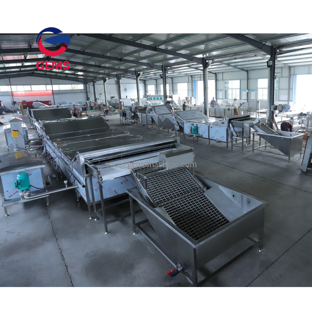 Equipments for Hard Boiled and Peeled Eggs Processing