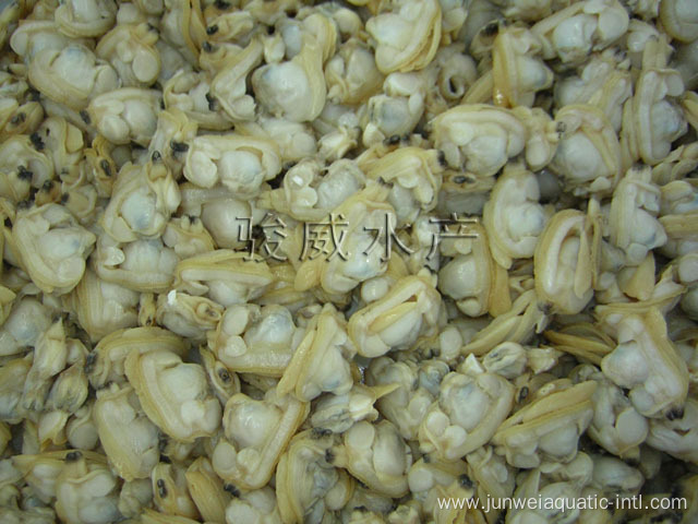 Fresh frozen clam meat