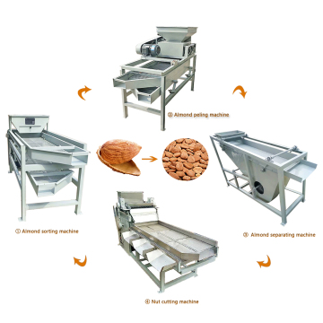 Low Price Apricot Hazelnut Separator and Sorting Machine