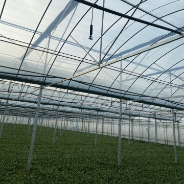 Good Thermal Insulation Multi-layer PC Greenhouse