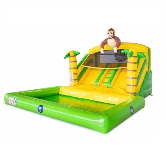 Affordable Commercial Inflatable Water Slides and Bounce Houses
