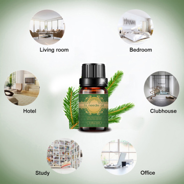 Bulk fir needle essential Oil for Air Clean