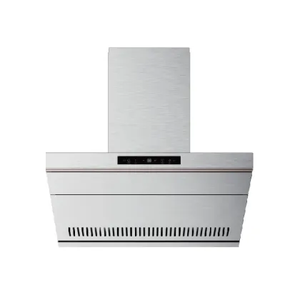 Stainless Steel Side Range Hood