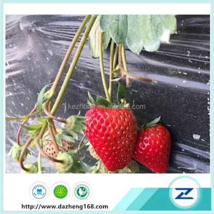 agricultural film strawberry PE film garden mulch film