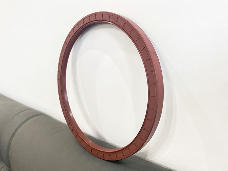 Fluorogar skeleton oil seal