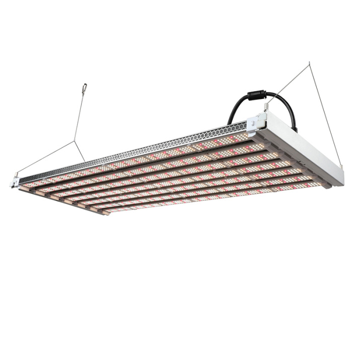 Pianta per interni a spettro completo coltivano luce 600w