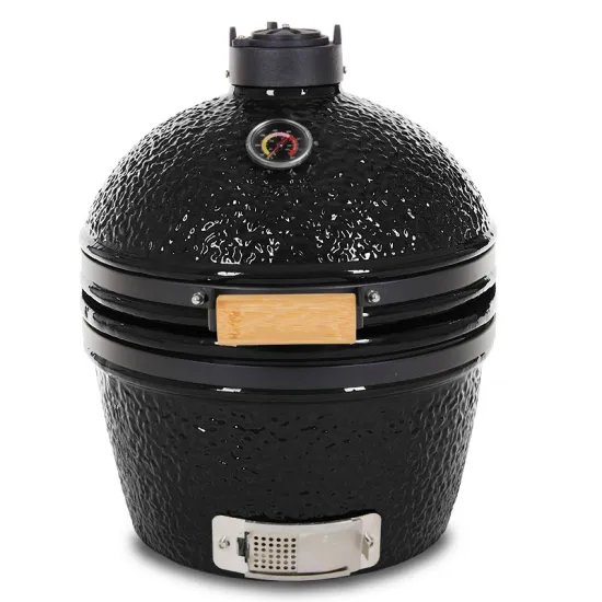 AUPLEX Mini Egg: 16-Inch Ceramic Kamado Grill for Outdoor BBQ