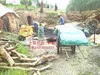 The supply of charcoal