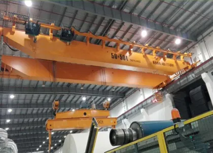 Double Girder Bridge Crane in Papermaking Industry