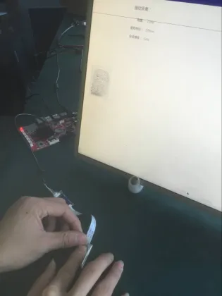 High quality cogent fingerprint scanner for attendance