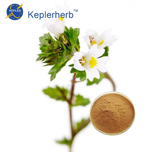 Eyebright Extract 공장 공급