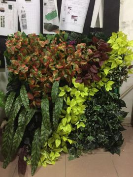 Large factory vertical garden green wall green wall vertical planters