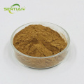 High-purity Astragaloside IV powder