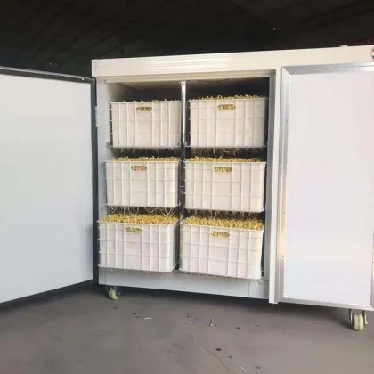 Easy Household Bean Sprouts Machine with Beautiful Appearance