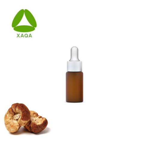 Bio -Naturlöwen -Mähne -Pilz -Flüssigkeitsabfälle