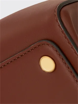 Metal and Leather Harmony Luxe Brown Crossbody Bag