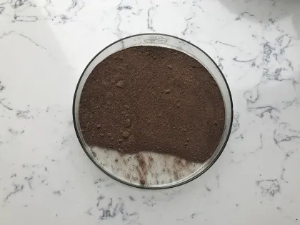 Pure Bee Propolis Extract Powder