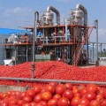 Endüstriyel domates macunu döner vakum buharlaştırma ekipmanı