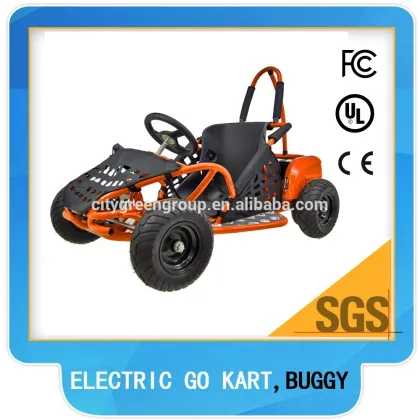 1000W electric motor for go kart, mini go kart for kids(TBG 01-1000W)