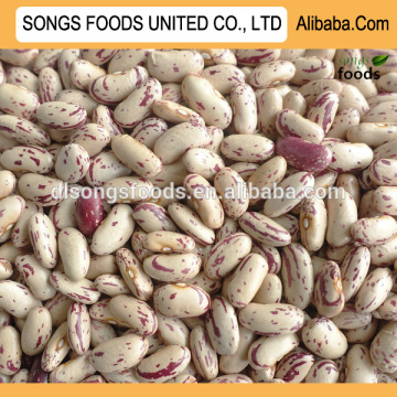 Import china products of beans