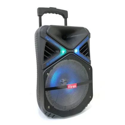 Anker 10 Inch Bass Speaker - Portable Wireless Home Theater Speaker with FM Radio